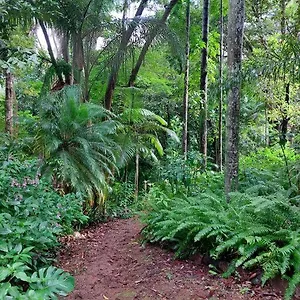 Rainforest Retreat-fireplace-bbq-3 Acres- , Nambour Australia